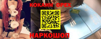сатива Новокубанск