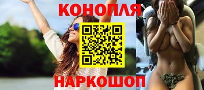 сатива Новокубанск