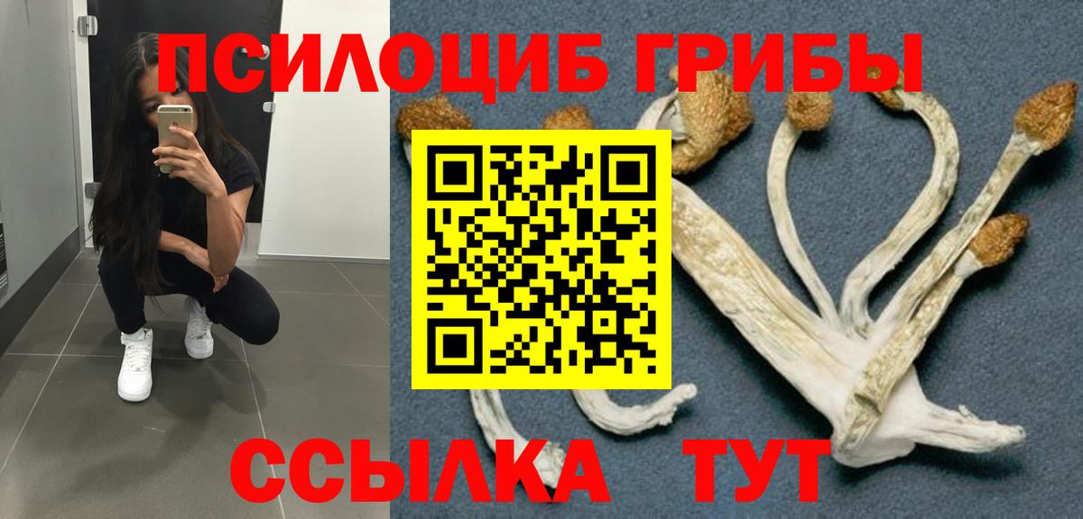 Шарыпово  Псилоцибиновые грибы Cubensis  Вход с VPN 