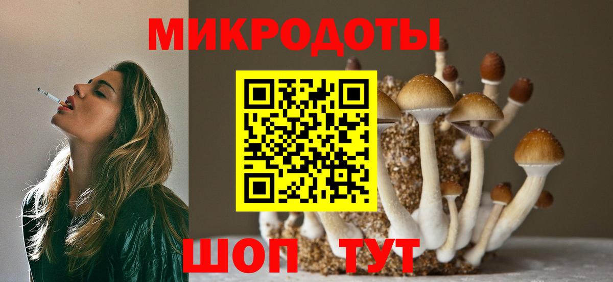 Псилоцибиновые грибы прущие грибы Шарыпово